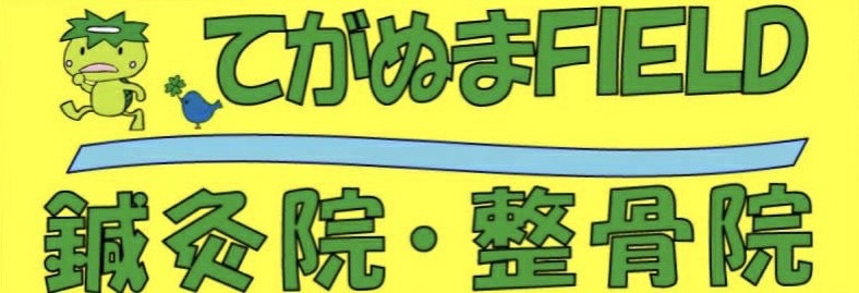 てがぬまＦＩＥＬＤ　鍼灸院・整骨院